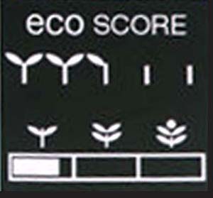 2010 Insight Eco Score
