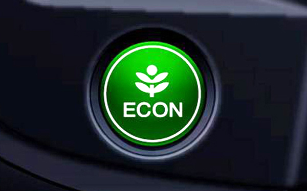 2010 Insight Econ Button